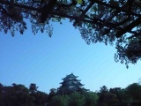 藤棚越しの名古屋城